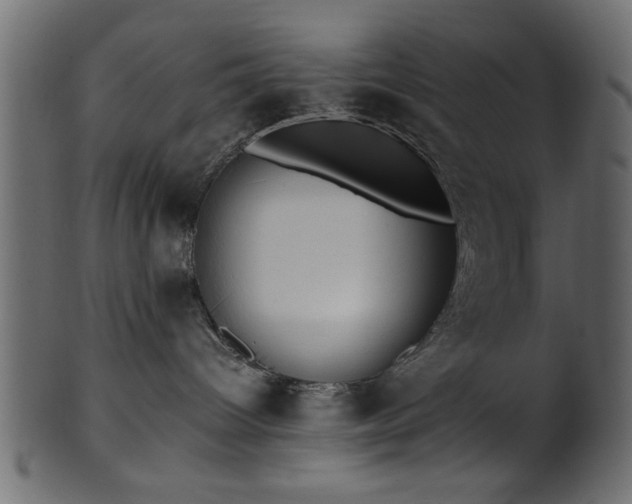 X0000101950096200807181500