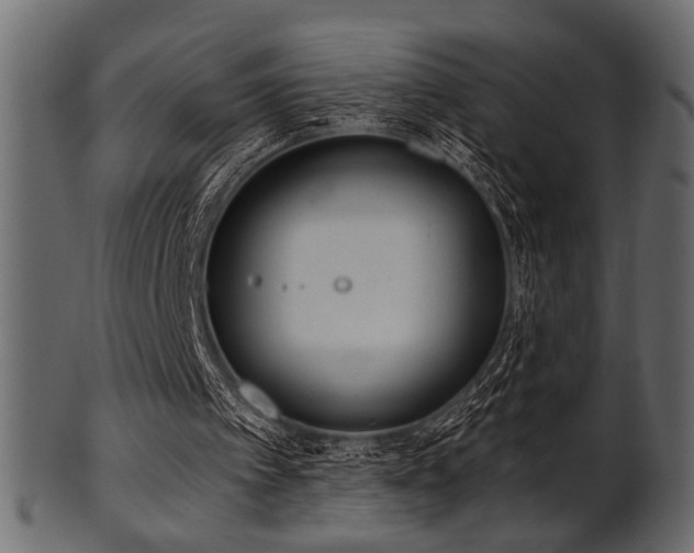 X0000101950097200807181459