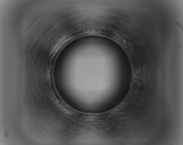 X0000101950098200807181459