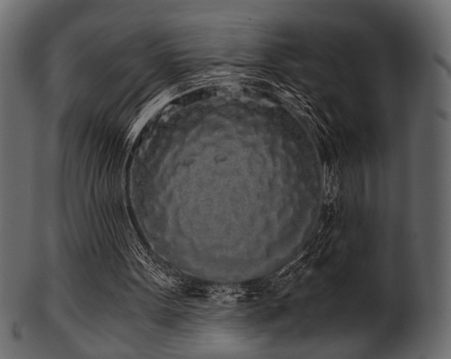 X0000101950099200807181459