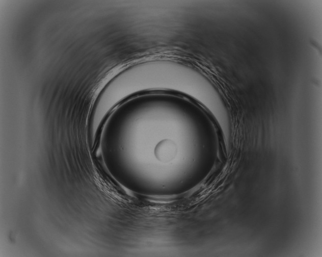 X0000101950100200807181459