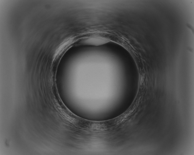 X0000101950101200807181459