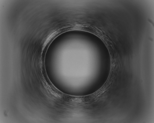 X0000101950102200807181459