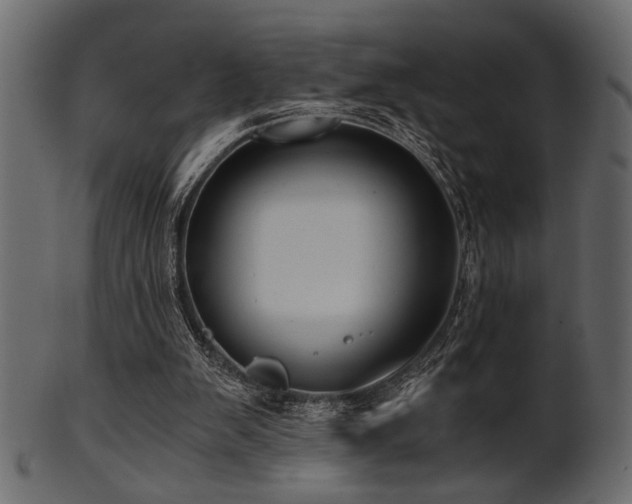 X0000101950103200807181459