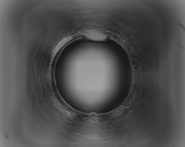 X0000101950104200807181459