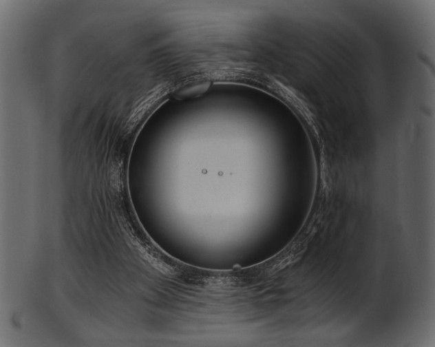 X0000101950105200807181459