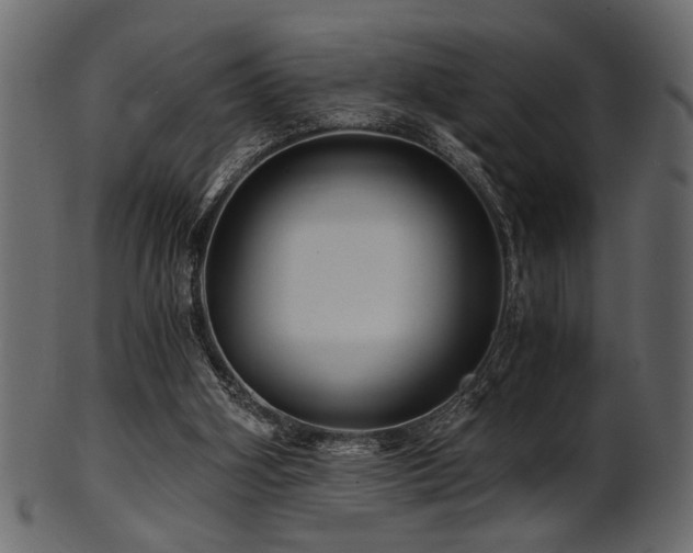 X0000101950106200807181459