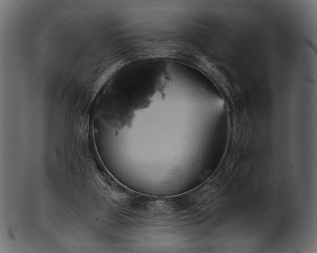 X0000101950107200807181459