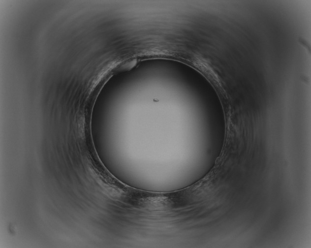 X0000101950108200807181459