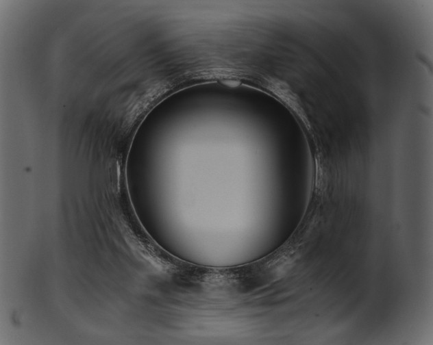 X0000101950109200807181459