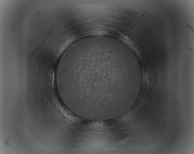 X0000101950110200807181459