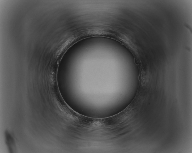 X0000101950111200807181459