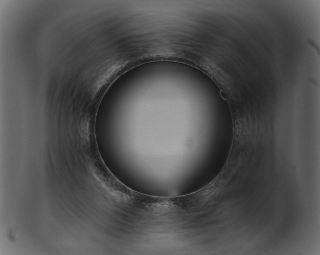 X0000101950112200807181459