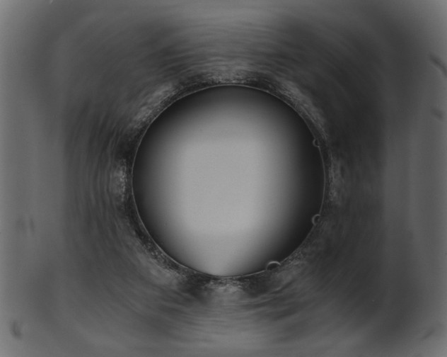 X0000101950113200807181459