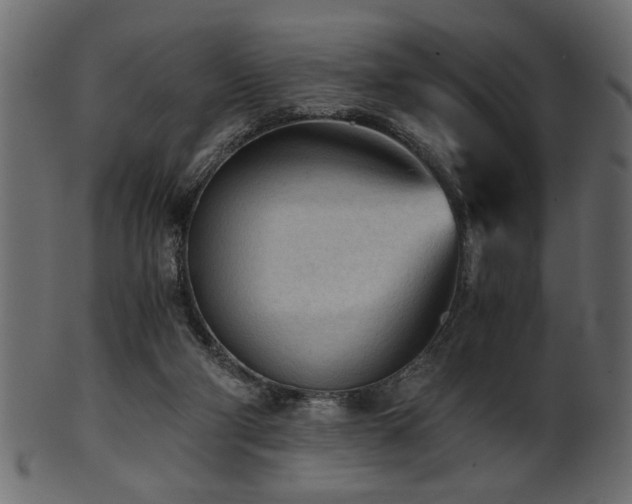 X0000101950114200807181459