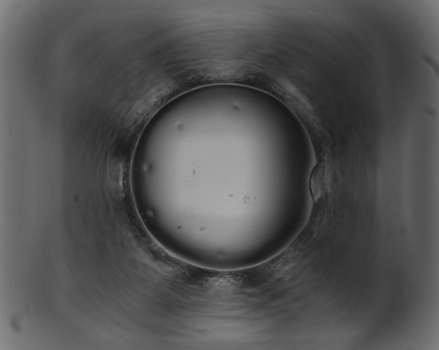 X0000101950115200807181459