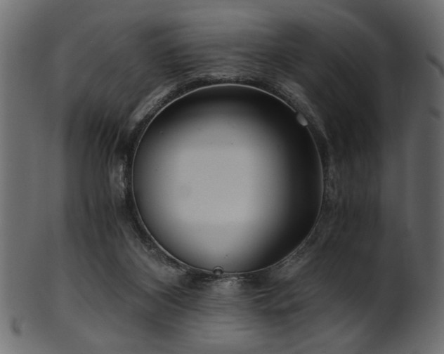 X0000101950116200807181459