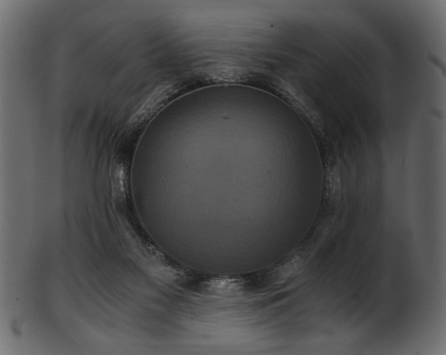 X0000101950117200807181459