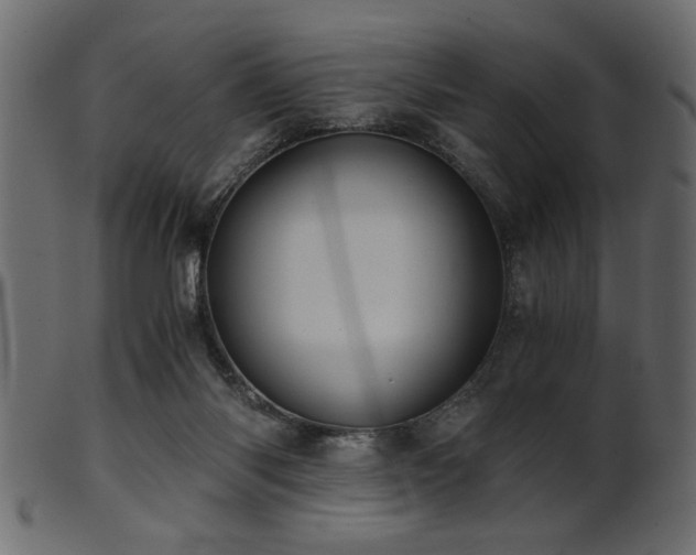 X0000101950118200807181459