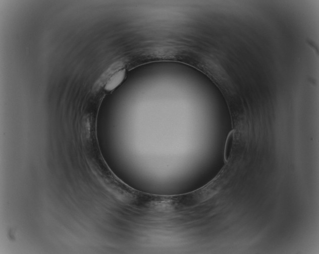 X0000101950120200807181459