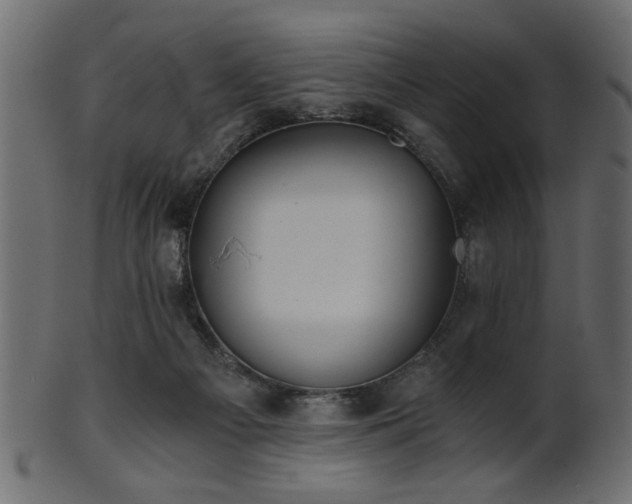 X0000101950121200807181459