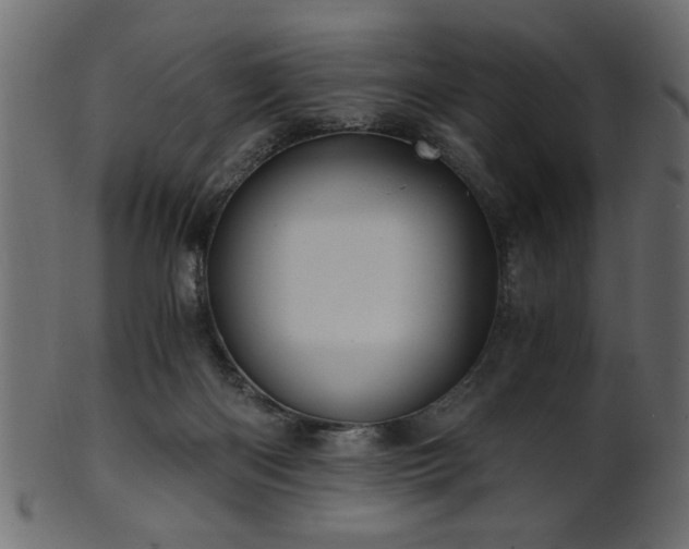 X0000101950122200807181459