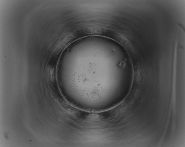 X0000101950123200807181459