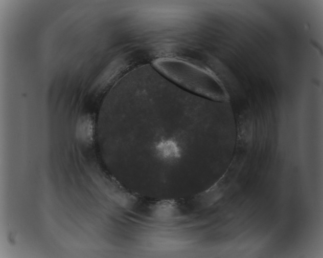 X0000101950124200807181459