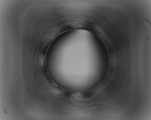 X0000101950125200807181459