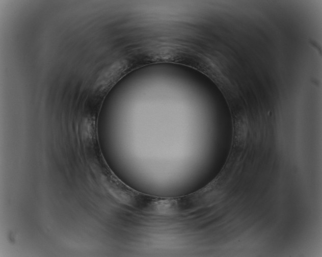 X0000101950126200807181459