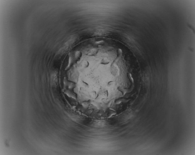 X0000101950127200807181459