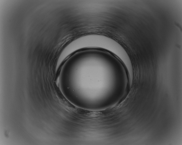 X0000101950128200807181459