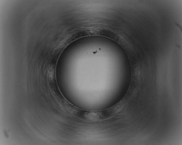 X0000101950129200807181459