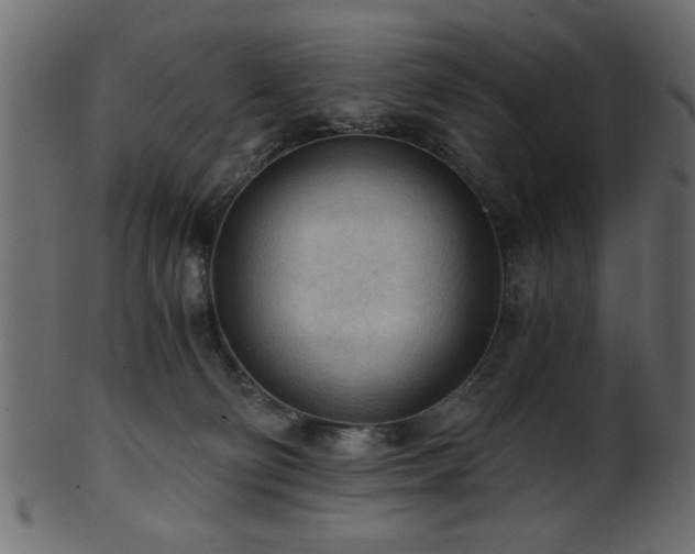 X0000101950130200807181459