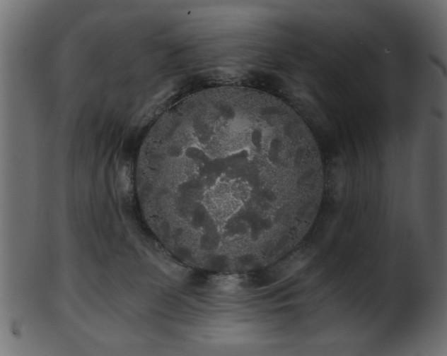 X0000101950131200807181459