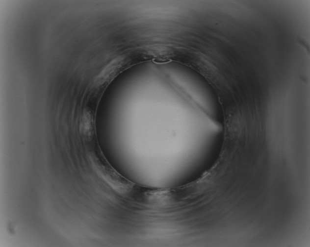 X0000101950132200807181459