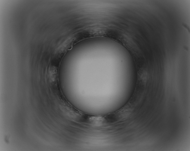 X0000101950133200807181459