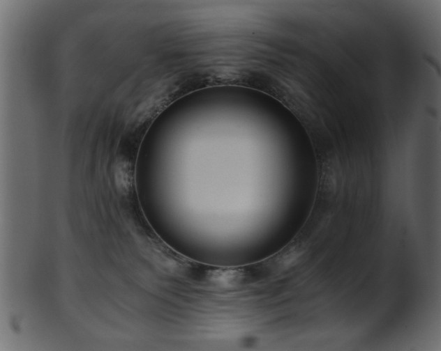 X0000101950135200807181458