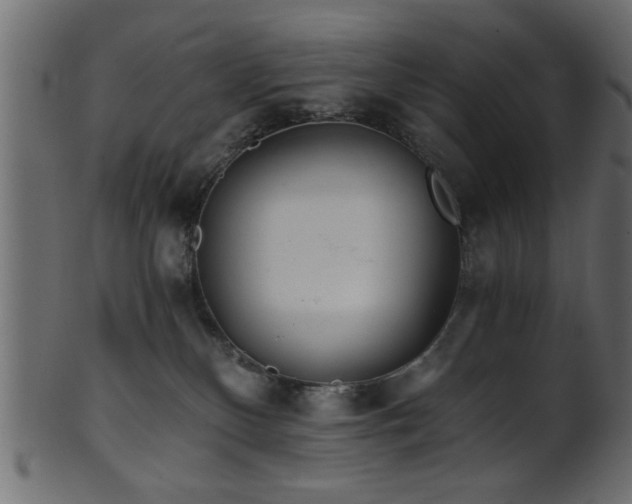 X0000101950136200807181458