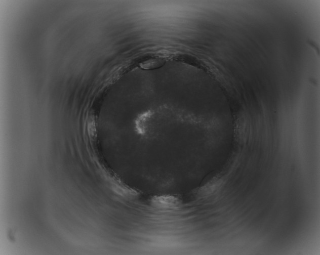 X0000101950137200807181458