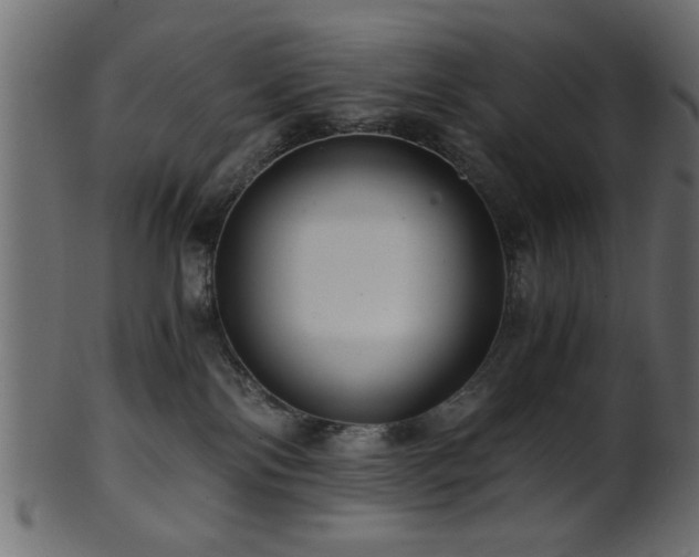 X0000101950138200807181458