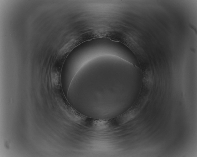 X0000101950139200807181458