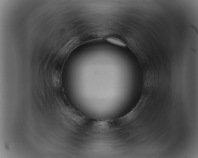 X0000101950140200807181458