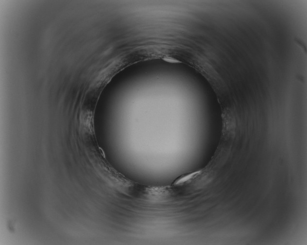 X0000101950141200807181458