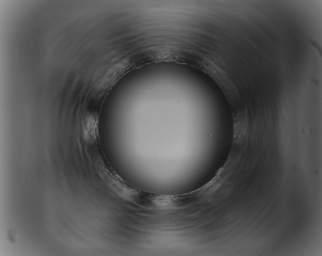 X0000101950142200807181458