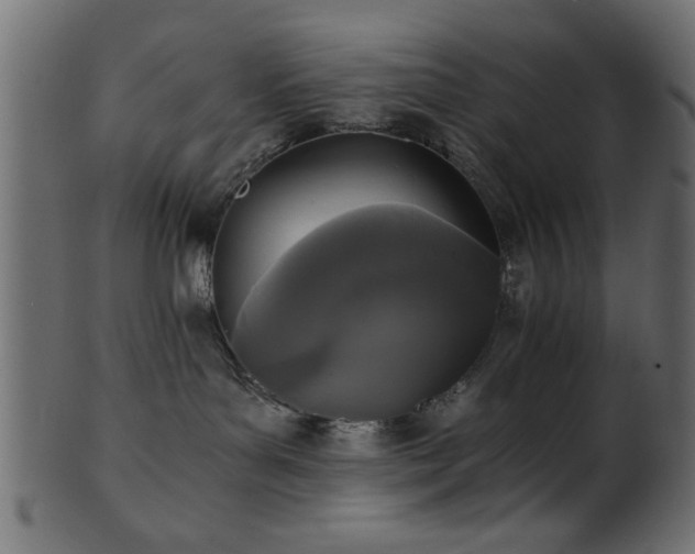 X0000101950143200807181458