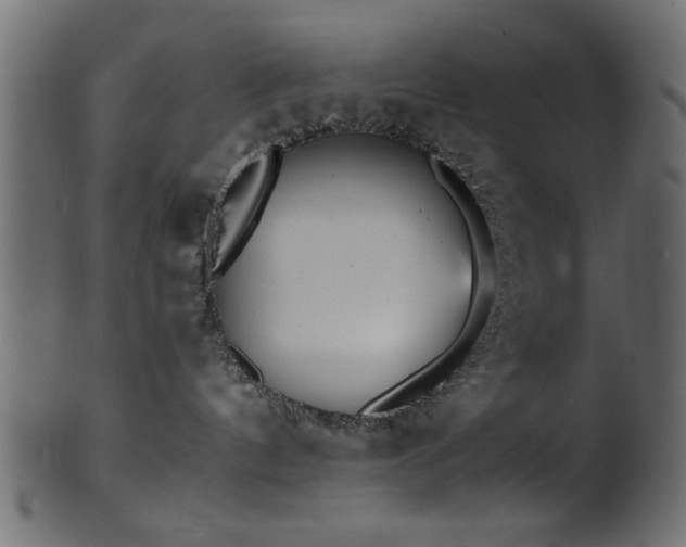 X0000101950144200807181458