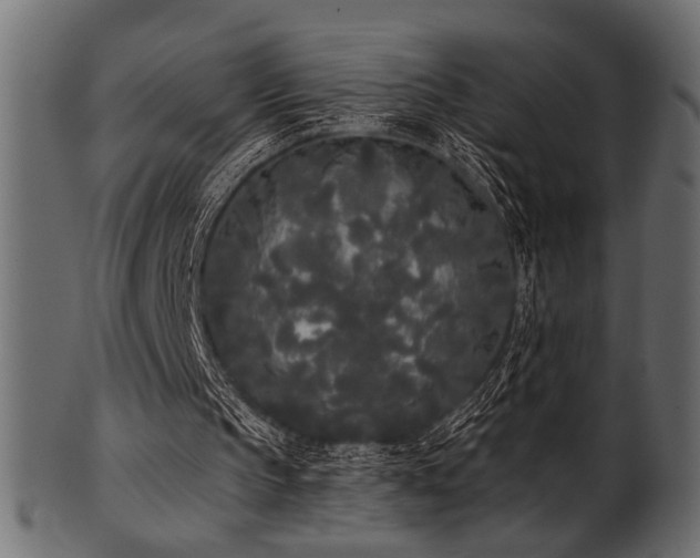 X0000101950145200807181458