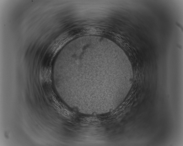 X0000101950146200807181458