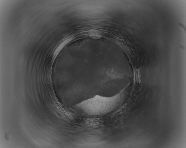 X0000101950147200807181458